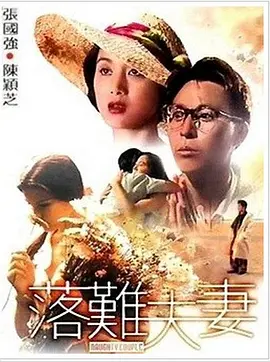 我妻子的表姐们