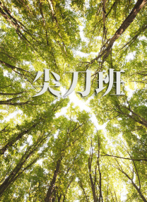 日韩成人在线观看视频